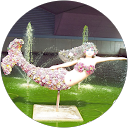 Cathy Olson Avatar